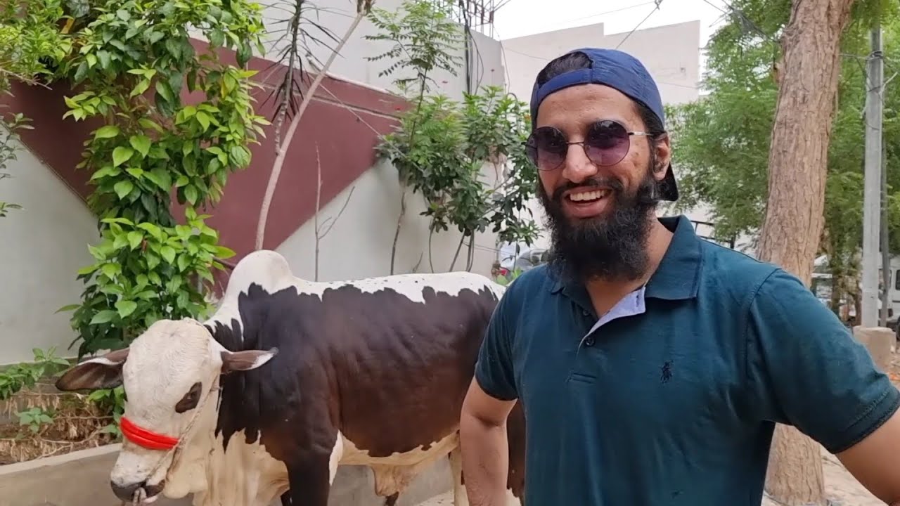 Alhamdulillah ❤️ Bachra Ghar Ly Aya | AR Maani