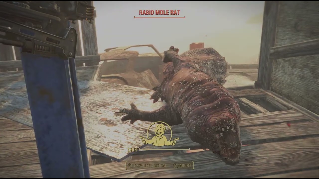 Fallout 4 Minuteman finally found out the hard way.