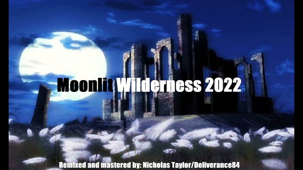 Moonlit Wilderness 2022 (D84 REMIX) 4K HD