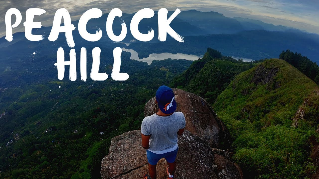 Monara Gala Mountain (Peacock Hill) මොණරගල