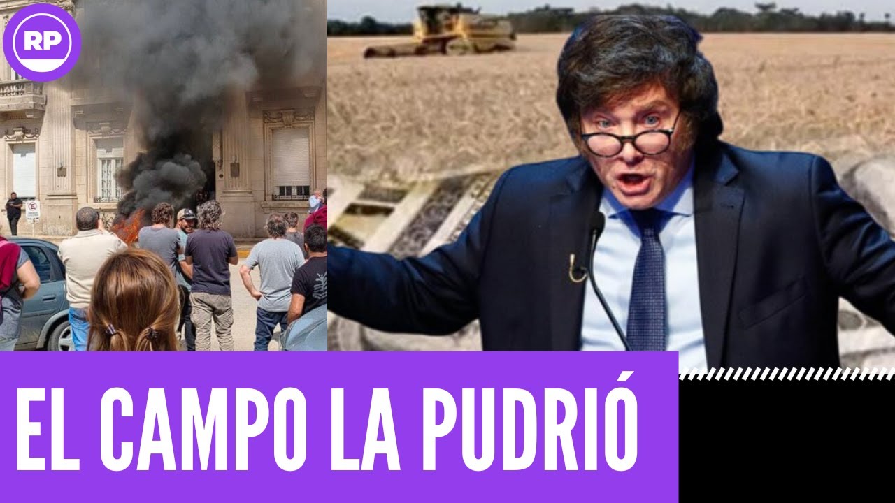 &iexcl;&iexcl;&iexcl;SE PIC&Oacute;!! EL CAMPO SE PLANT&Oacute; Y LA PUDRI&Oacute; TODA EN 9 DE JULIO