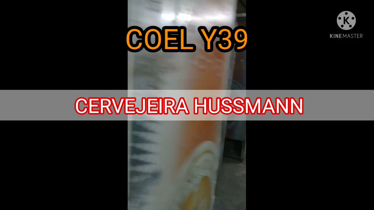 CERVEJEIRA HUSSMANN COMO INSTALAR UM DIGITAL Y39