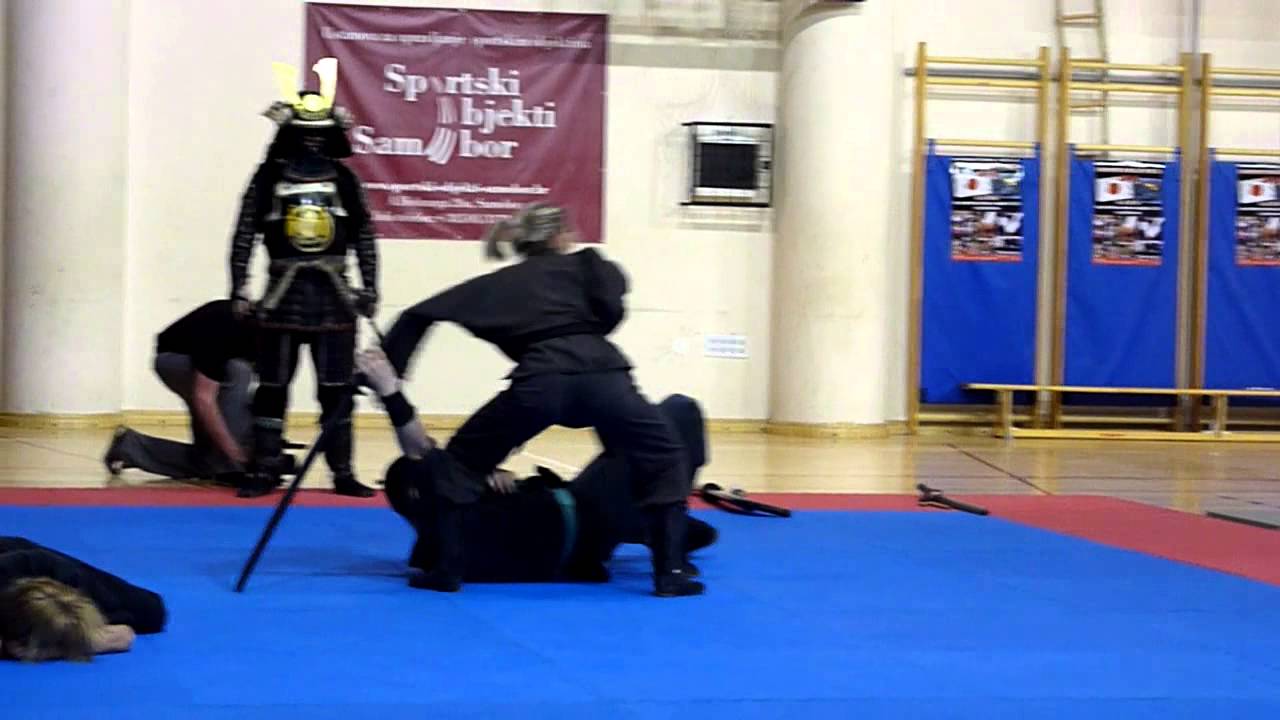 Bujinkan Seishin Dojo Croatia demonstration (Samobor,16.06.2011)