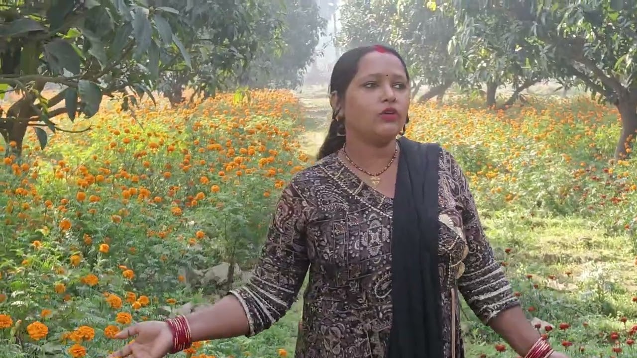 hello doston Aaj bataiye Ham kaisa laga Tani #lifeisbutadream #song #lifeisbutadream