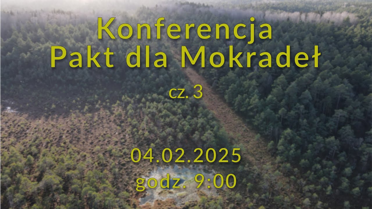 PAKT DLA MOKRADEŁ cz. 3 - sesja plenarna