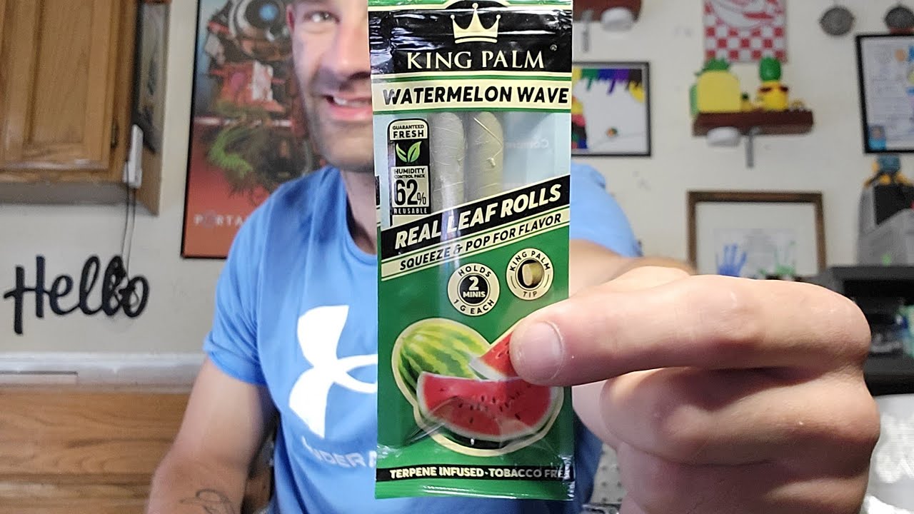 WATERMELON WAVE KING PALM // TOKIN TUESDAY:)