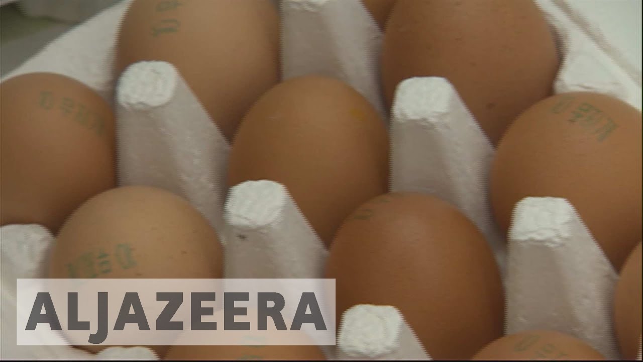 South Korea suffers worst bird flu outbreak in country's history