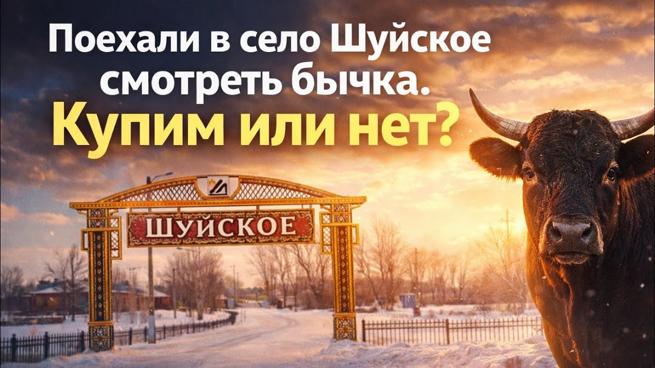 Поехали смотреть бычка в Шуйское… Купим или нет? Деревенская жизнь #жизньвказахстане 