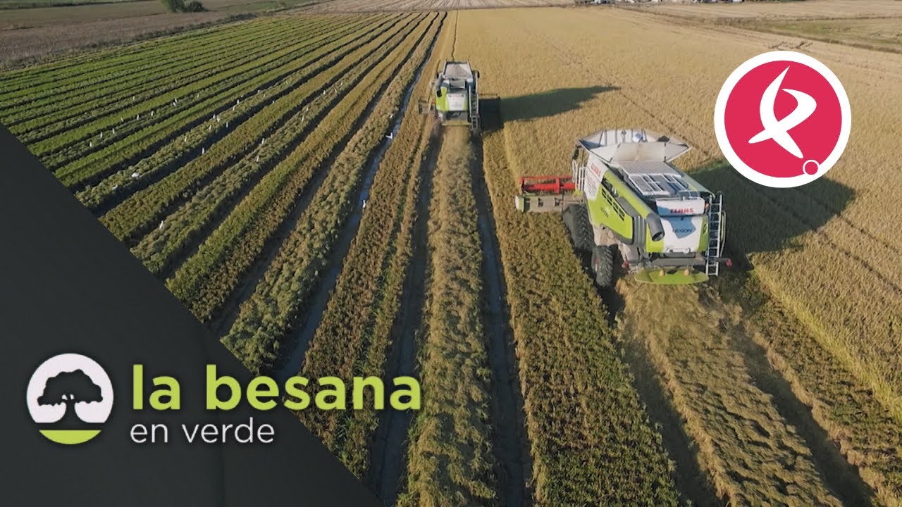 Buenas cifras en el cooperativismo extremeño | La Besana en Verde
