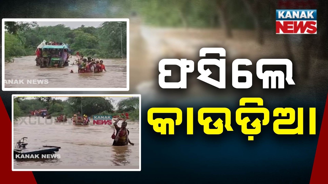 ଫସିଲେ କାଉଡ଼ିଆ | Kanwariyas Stranded as Baitarani, Salandi Rivers Swell | Bhadrak Flood News