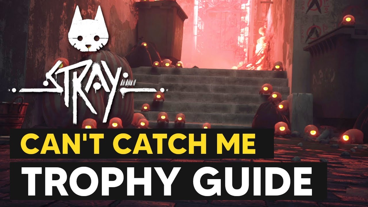 Stray - Can't Catch Me Trophy / Achievement Guide