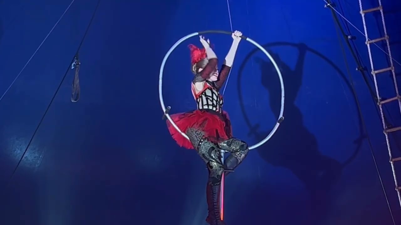 Circus Cortex 6Oct25
