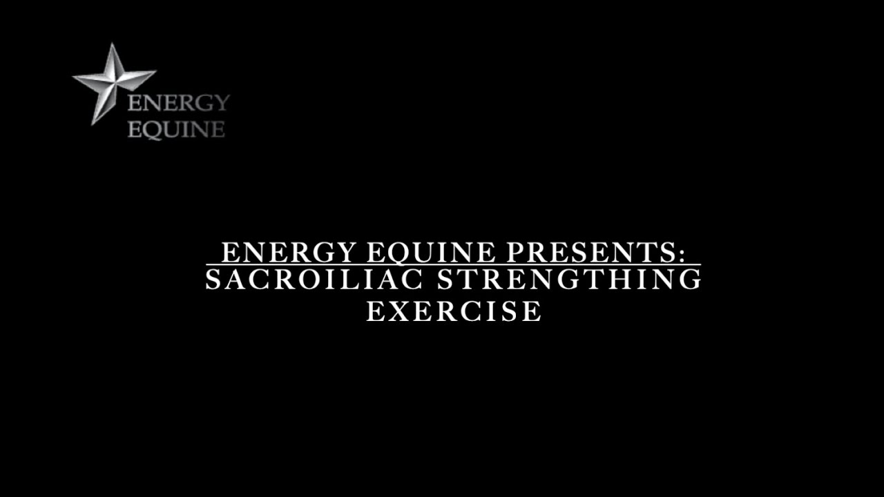 EE SI Rehabilitative Exercise Video