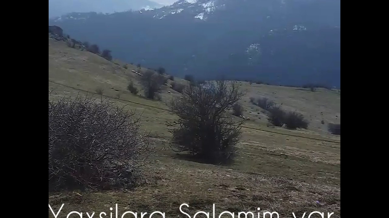Hamosam daglari