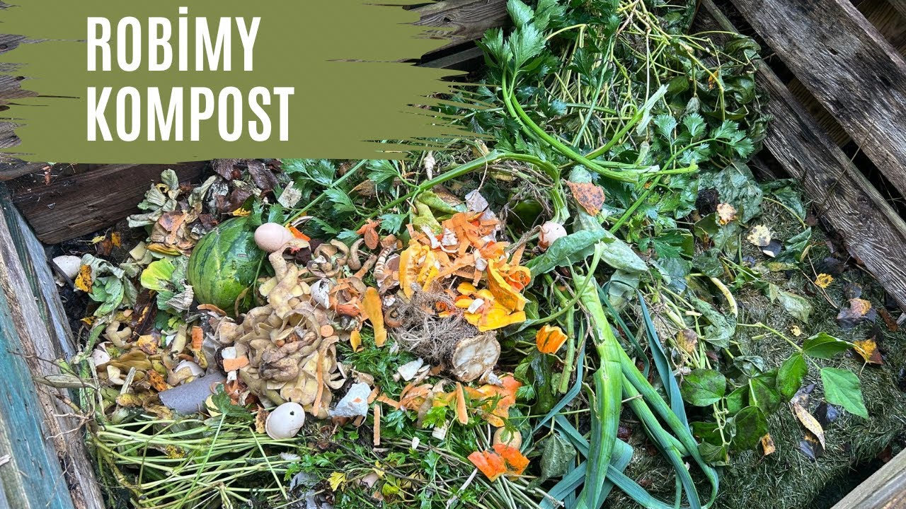 Własny kompost. Jak go robię? 🌱