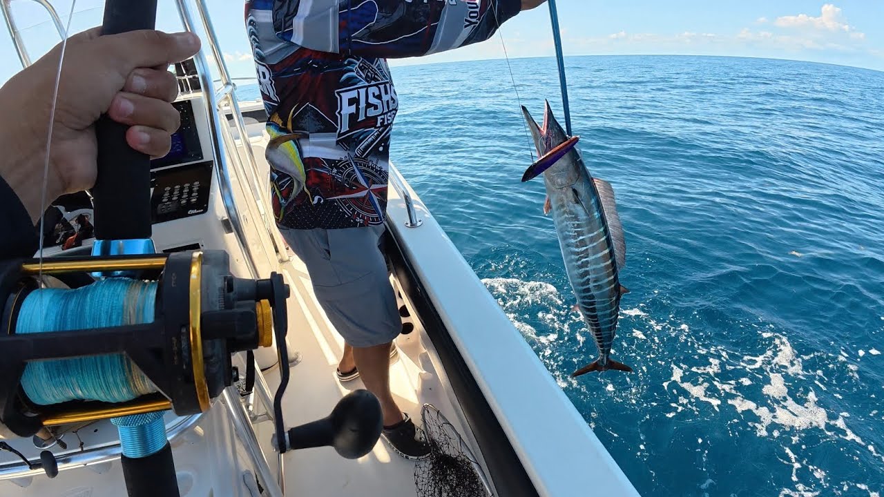Comenzó la temporada! Pescando Petos al sur de Ponce, Puerto Rico!🇵🇷 
