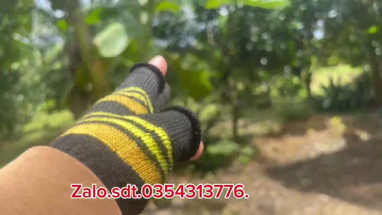 Mảnh vườn nhà cây ăn trái  ,có 200tc  #bds #nhadatbinhphuoc 