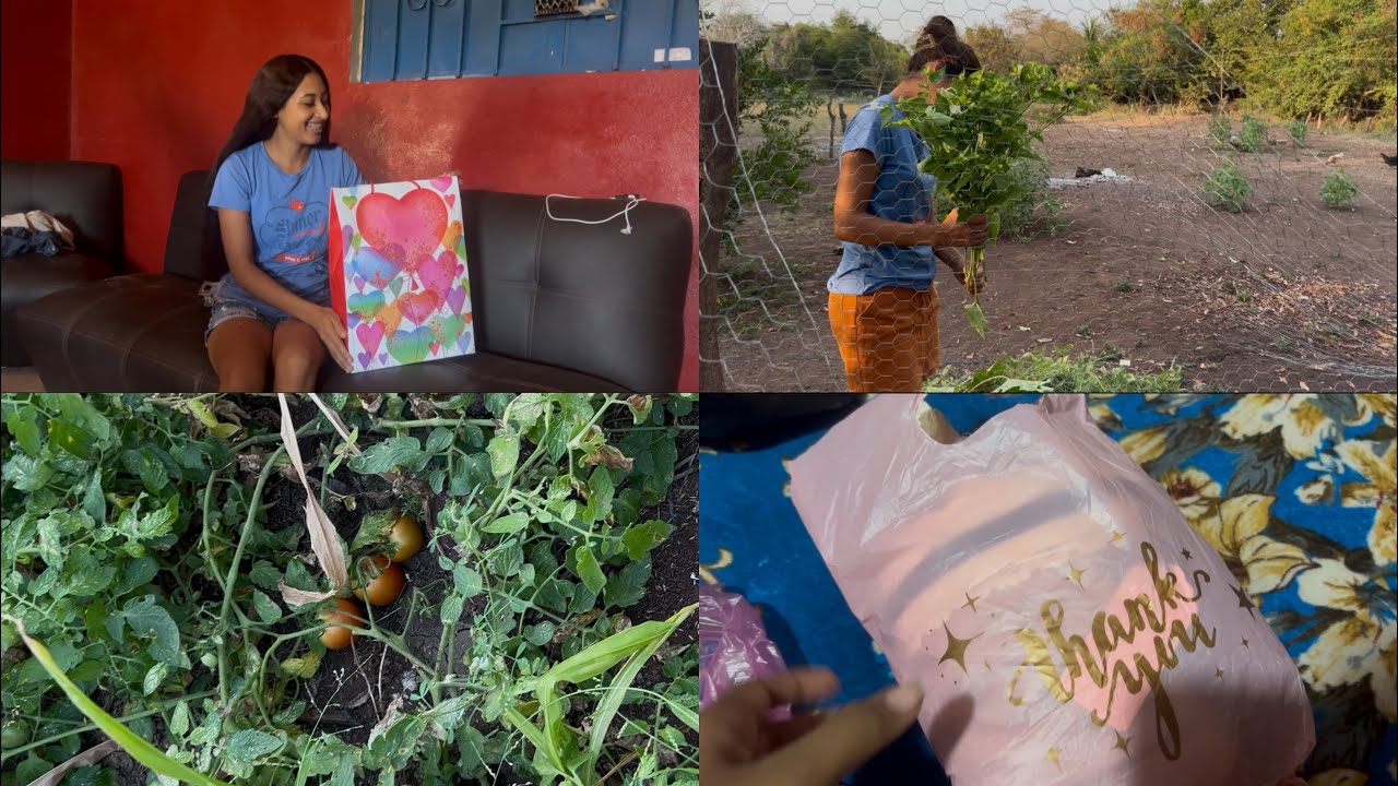 Abriendo mis regalos 🎁 //tenemos nuevo pedido🍅#parati #minivlog #guerrero #hasmeviral 