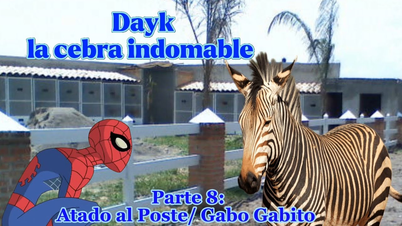 Dayk , La cebra indomable, Parte 8: Atado al poste/ Gabo Gabito