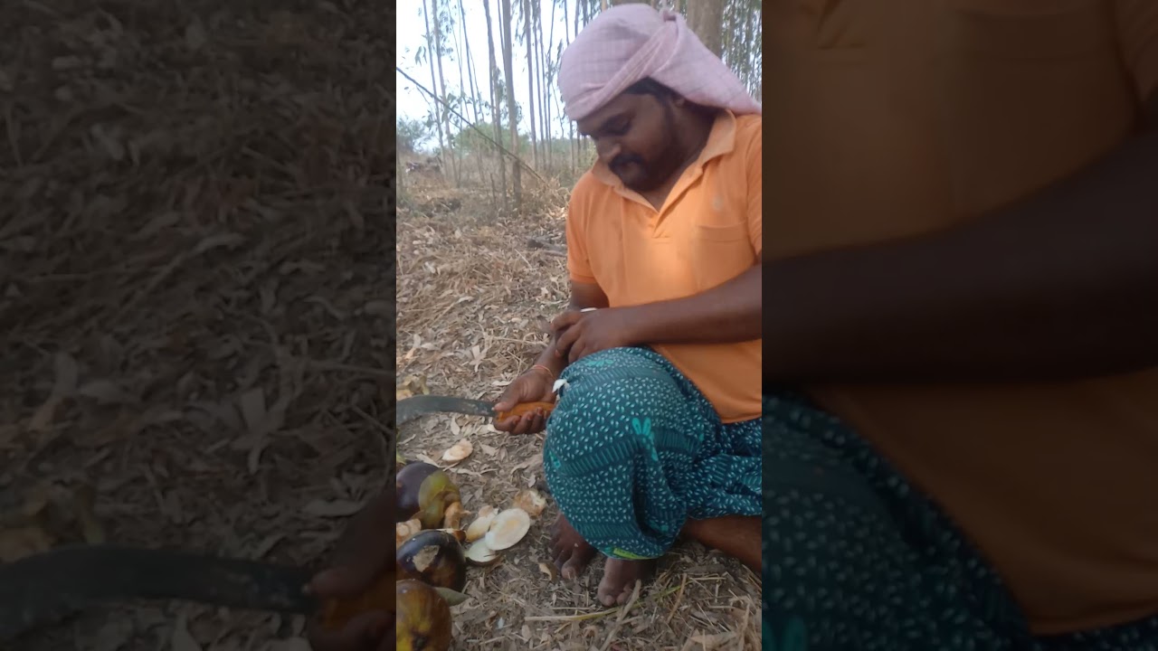 Damarapalli tatikayallu