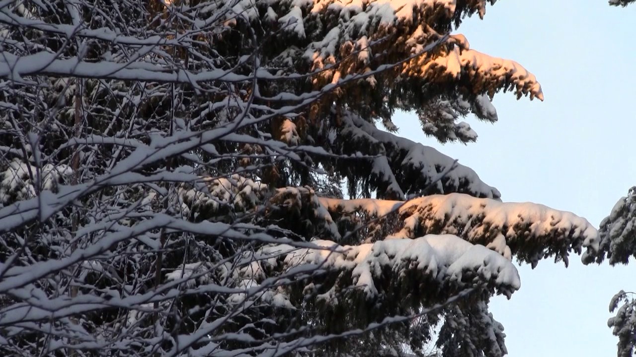 Talven hiljaisuus Haukipudas Siikasaari Oulu Suomi  Winter silence in Finland