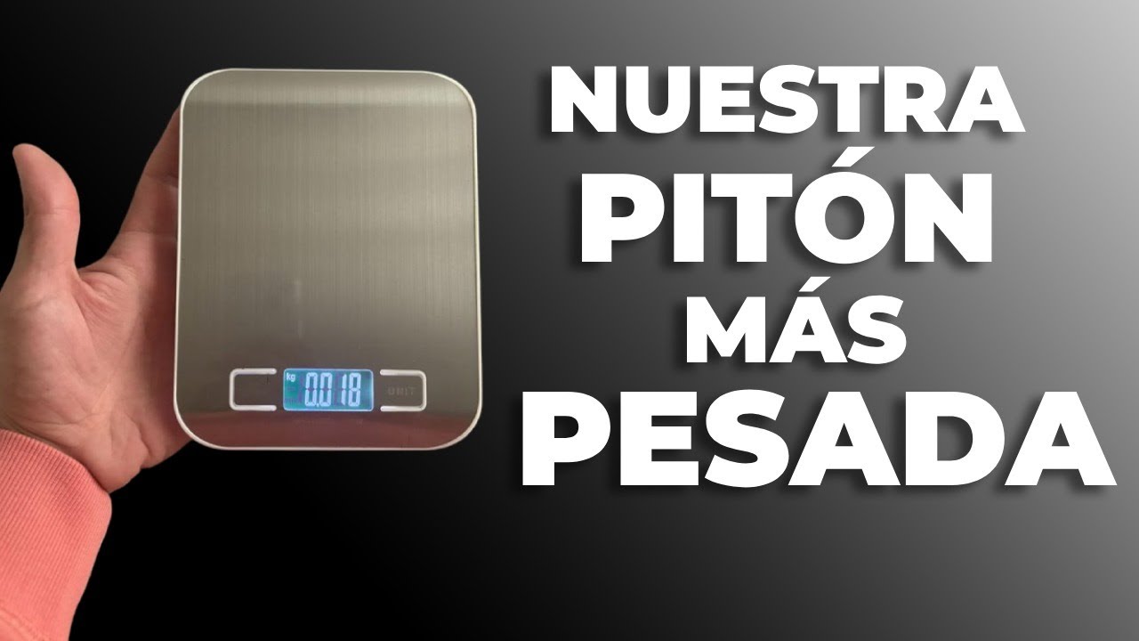 Chequeo de peso de nuestras futuras reproductoras | AFSAND R.