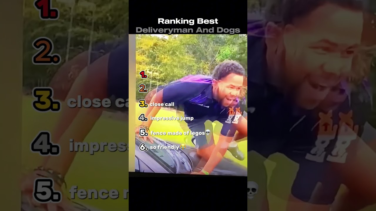 Ranking Best Delivery Man Vs Dogs Moments