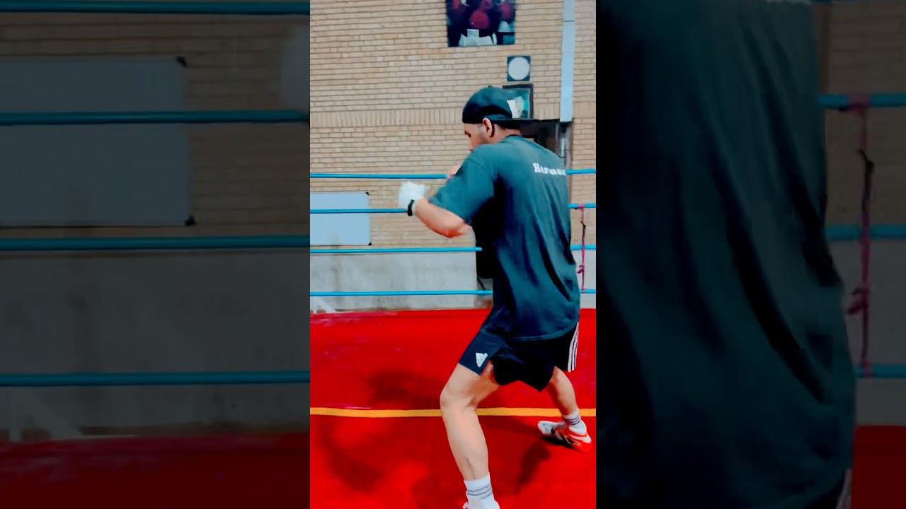 Saeed jafarian  سعید جعفریان    #proboxing #boxing #gym #hardwork #champion #fight #power