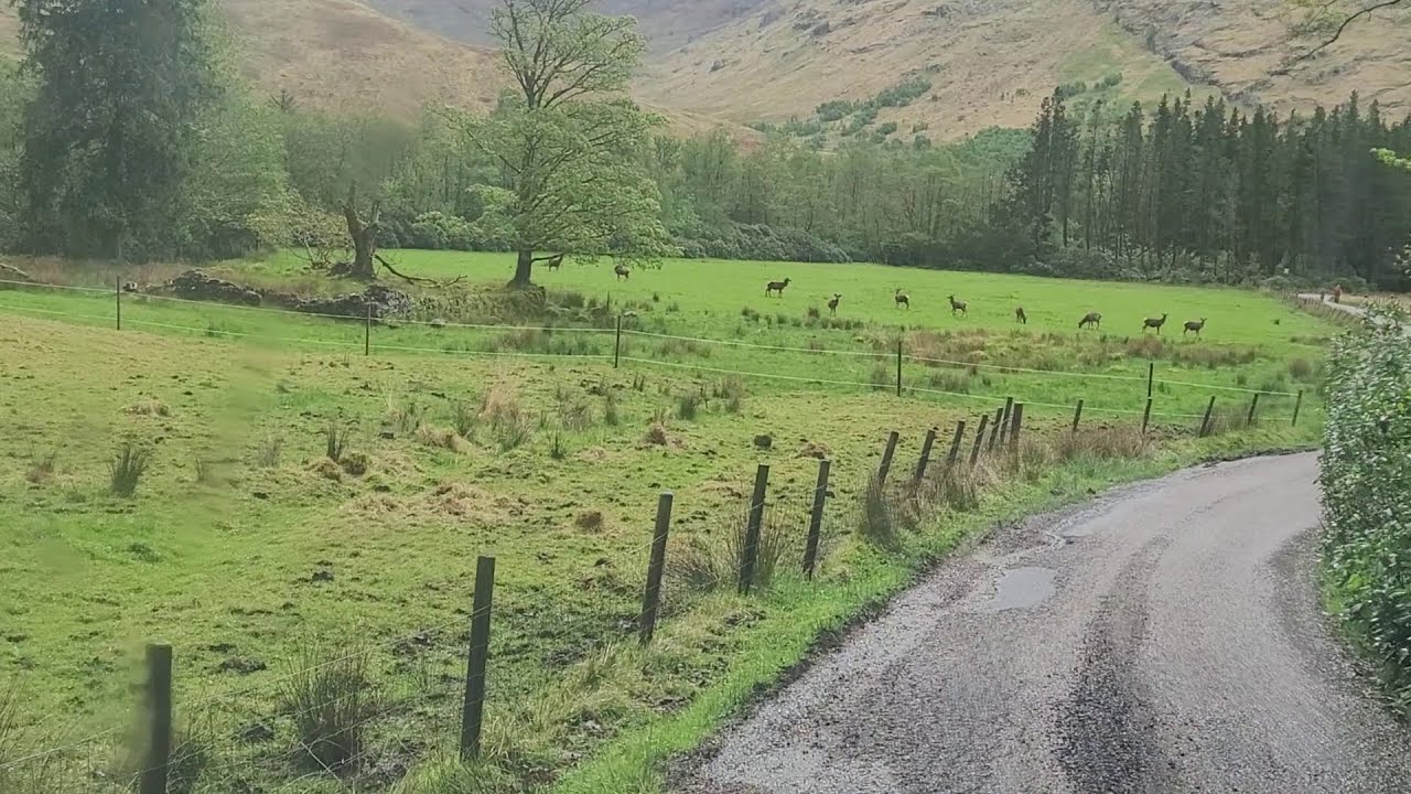Western Scottish Highlands drive Glen Etive road trip to Loch Etive
