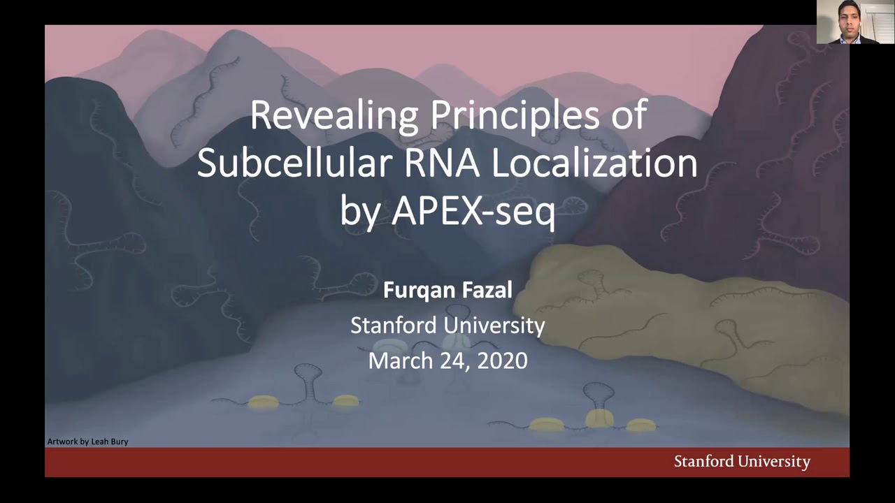 Revealing Principles of Subcellular RNA Localization by APEX-Seq - Furqan Fazal - ISCBacademy