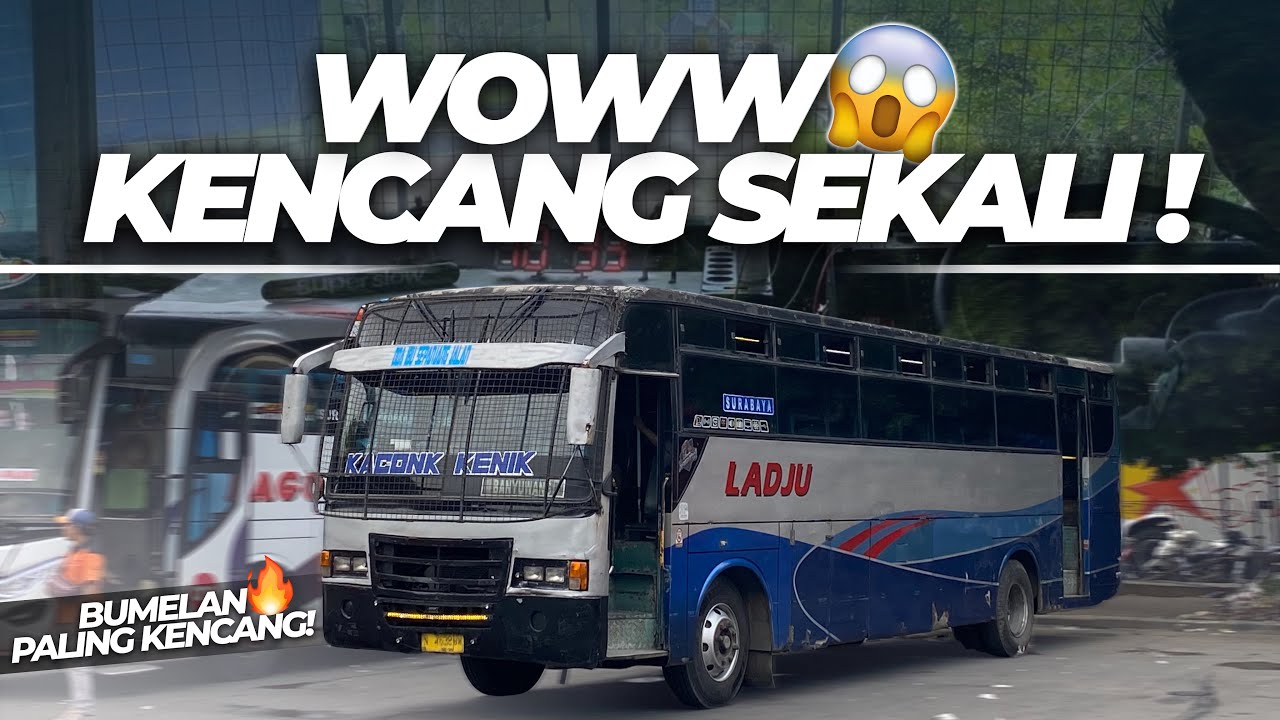 INI DIA BUS PALING KENCANG DIJALUR TAPAL KUDA😱‼️Trip Naik Ladju Kaconk Kenik Bondowoso - Surabaya