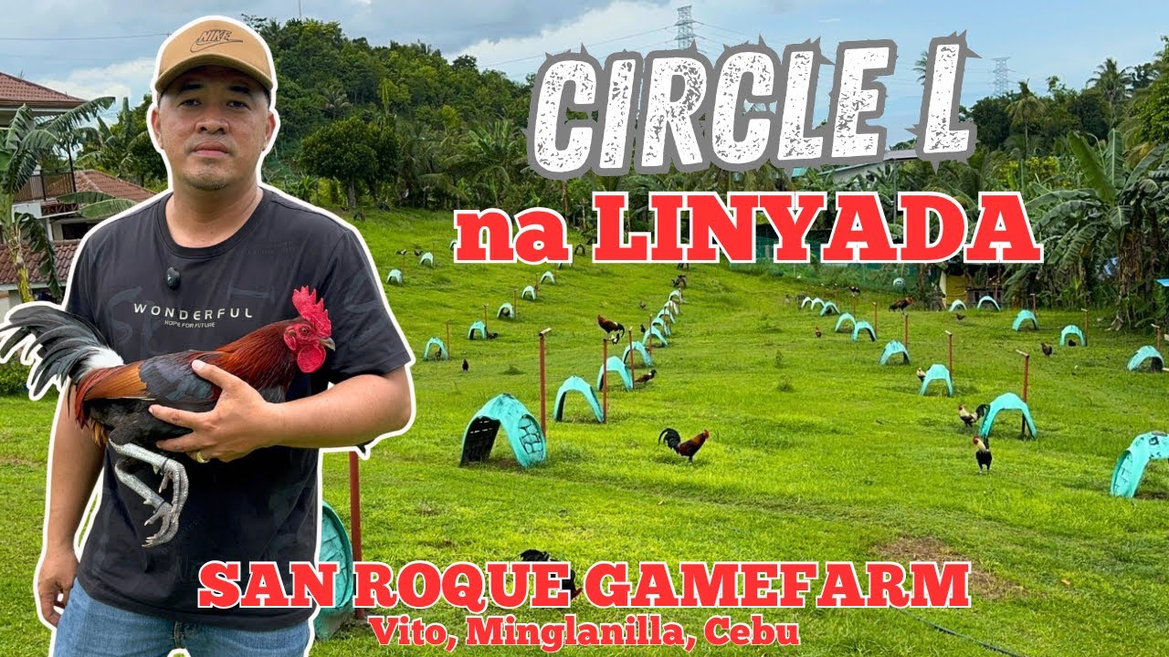 Pagmanage sa Range  | Jetrey Uy