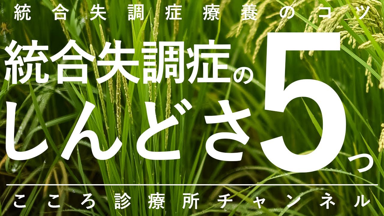 統合失調症のしんどさ5つ【幻聴や妄想のほか陰性症状や再発リスクも、精神科医が11分で説明】