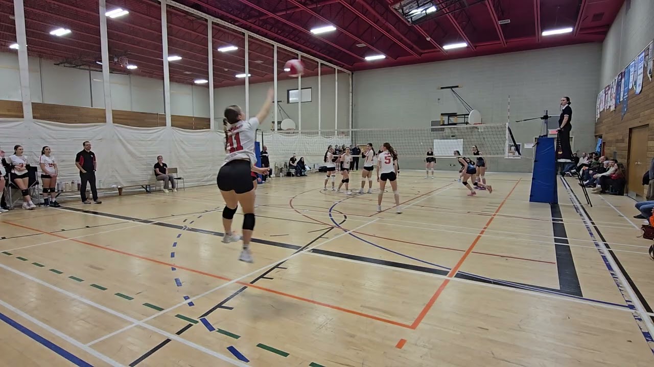 1 set vs brave