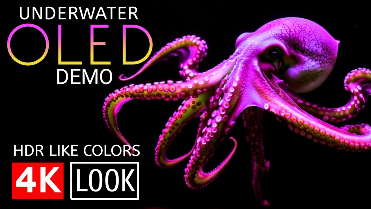 Underwater World OLED Demo 4K HDR Look Dolby Style 60fps