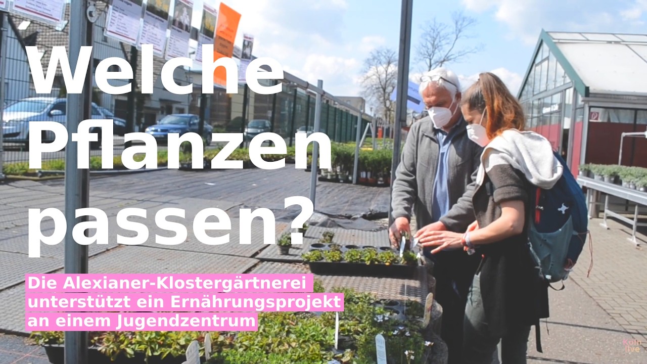 Pflanzen der Alexianer-Klostergärtnerei für ein Ernährungsprojekt im Jugendzentrum | #Kölnlive