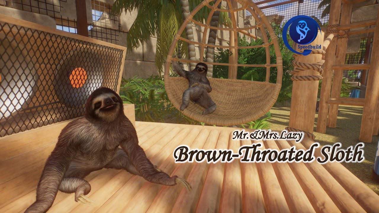 🦥🌎Brown-throated Sloth habitat | #19 Buenos Aires #planetzoo #speedbuild #sloth