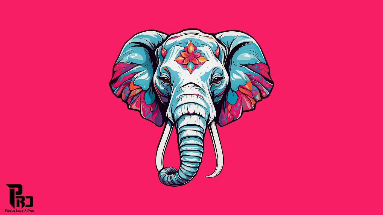 Indian Gangsta Boom Bap Type Beat - The Royal Beast