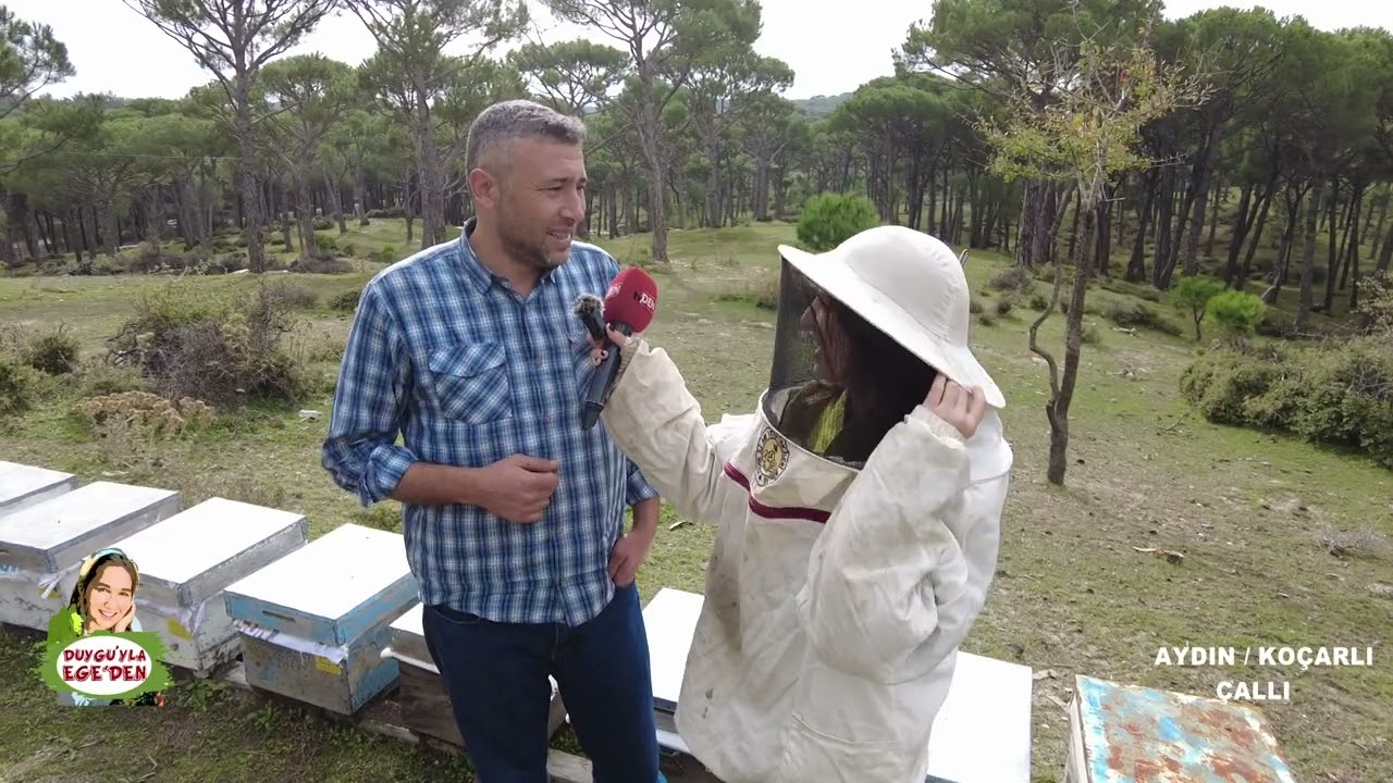 Arıcılık Aydın'da böyle yapılıyor