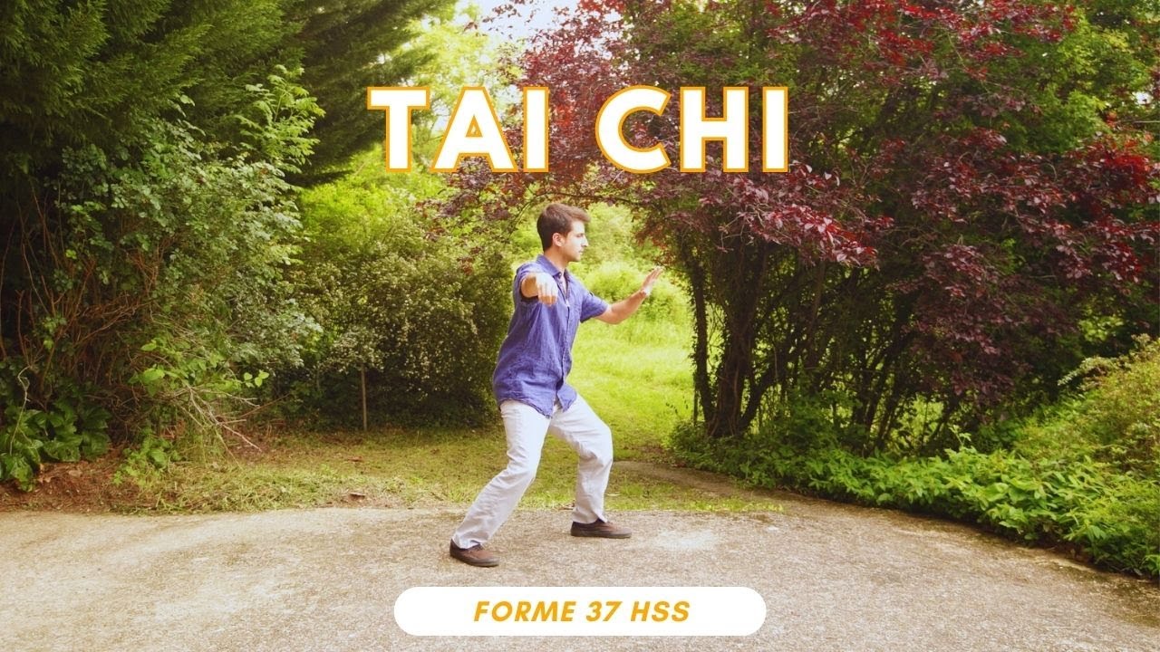 Tai Chi Lyon - Forme Yang 37 première partie (Forme version HME du système de la Terre)