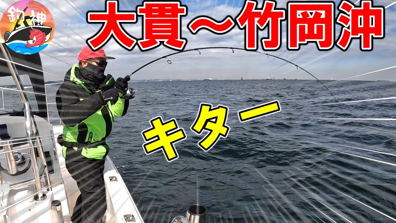 【東京湾】青物の引きはやっぱり最高です！