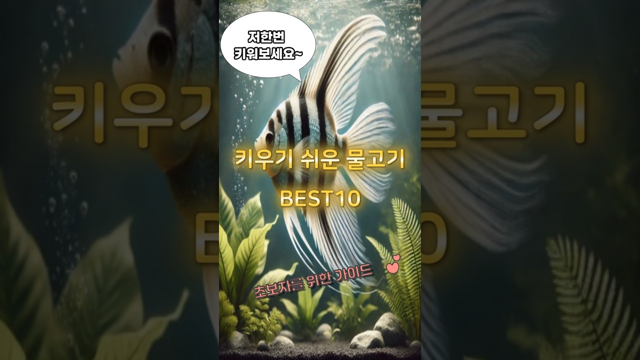 ✏️&ldquo;초보자를 위한, 키우기 쉬운 물고기 BEST 10