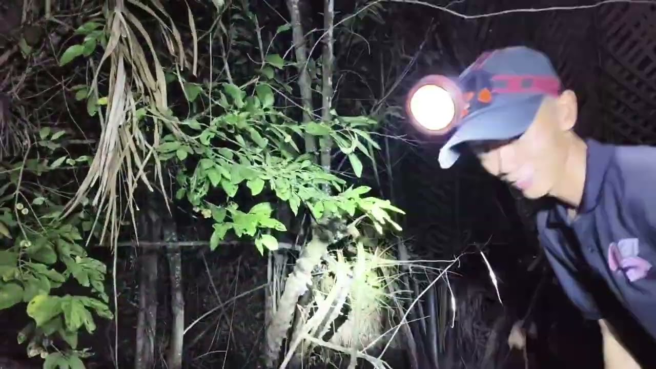  Ngày ₫ầu năm đi săn trúng ₫ậm bất ngờ