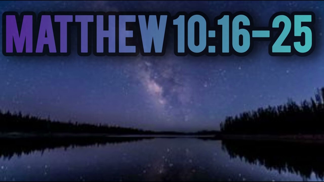 Sheep Among Wolves – Matthew 10:16–25