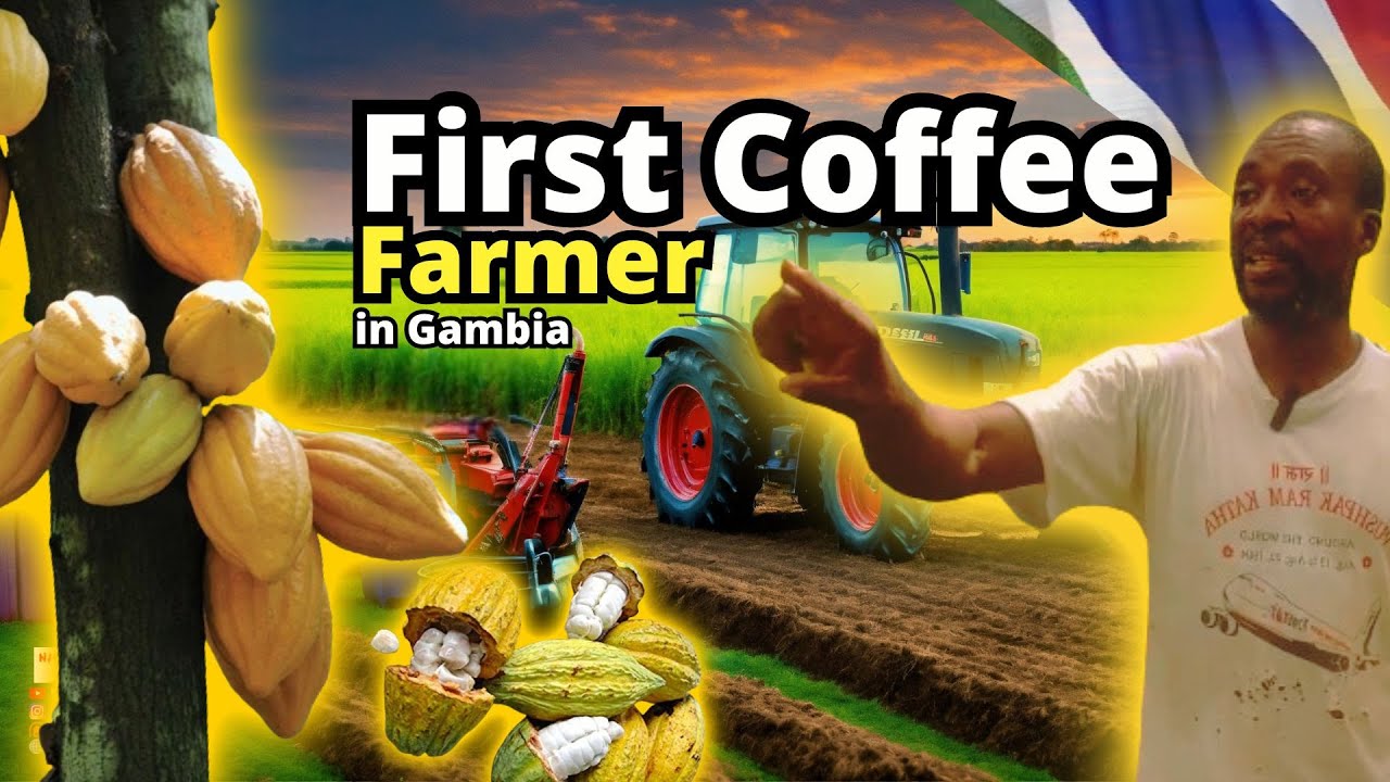 2 Hours Tour of First Coffee Farmer in The Gambia