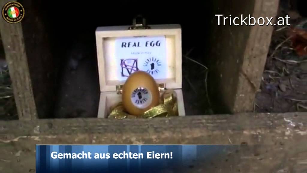 Real Egg