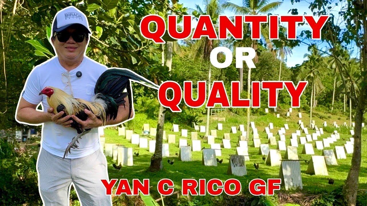 Honesty Prevails | Atty. Rico Amores