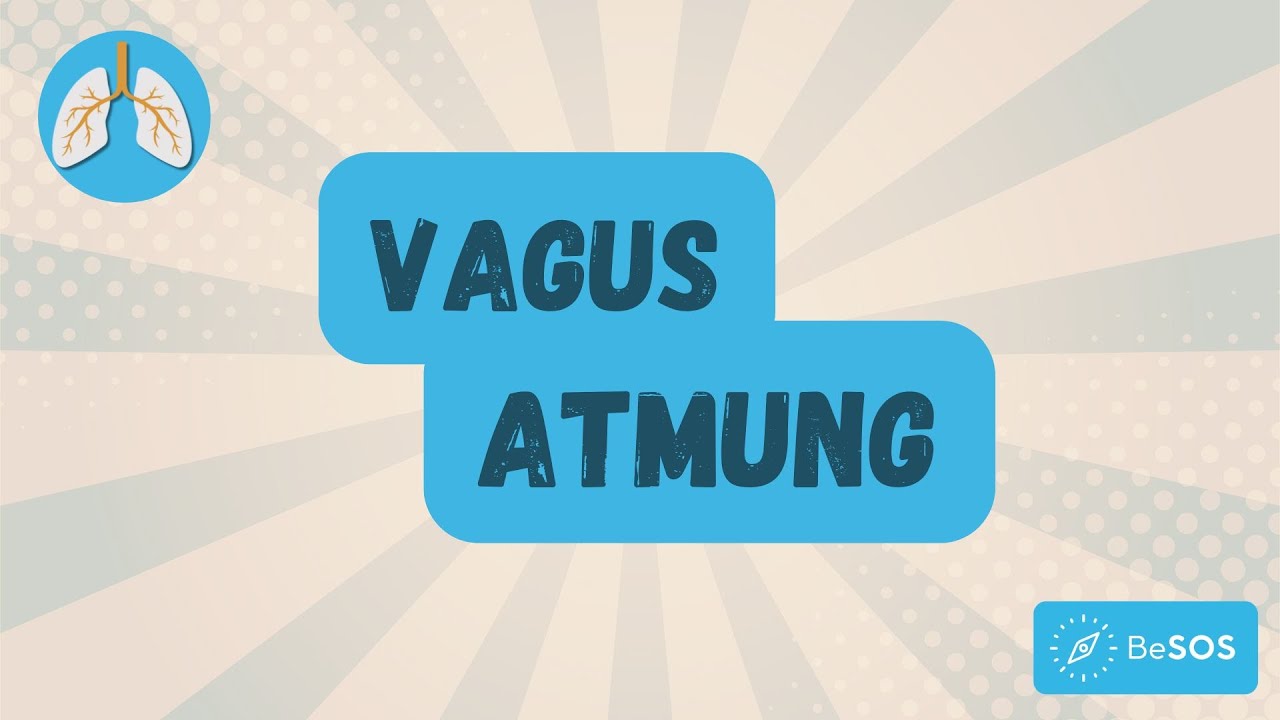 Vagus Atmung