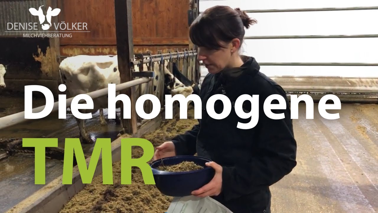 Die homogene TMR