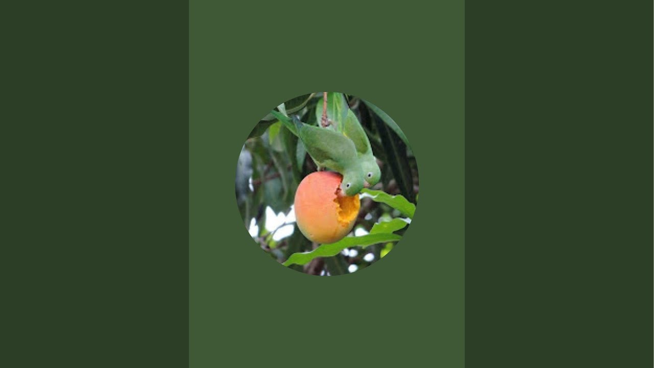 Casimir Nature is live!